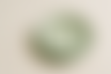 A green plate