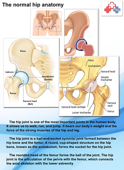 Thailand Medical Agency, back surgery, hip surgery, knee surgery, Infertility treatment, Cosmetic Surgery