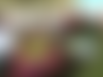 Ferias de Juegos: El Lado Intenso del Casino