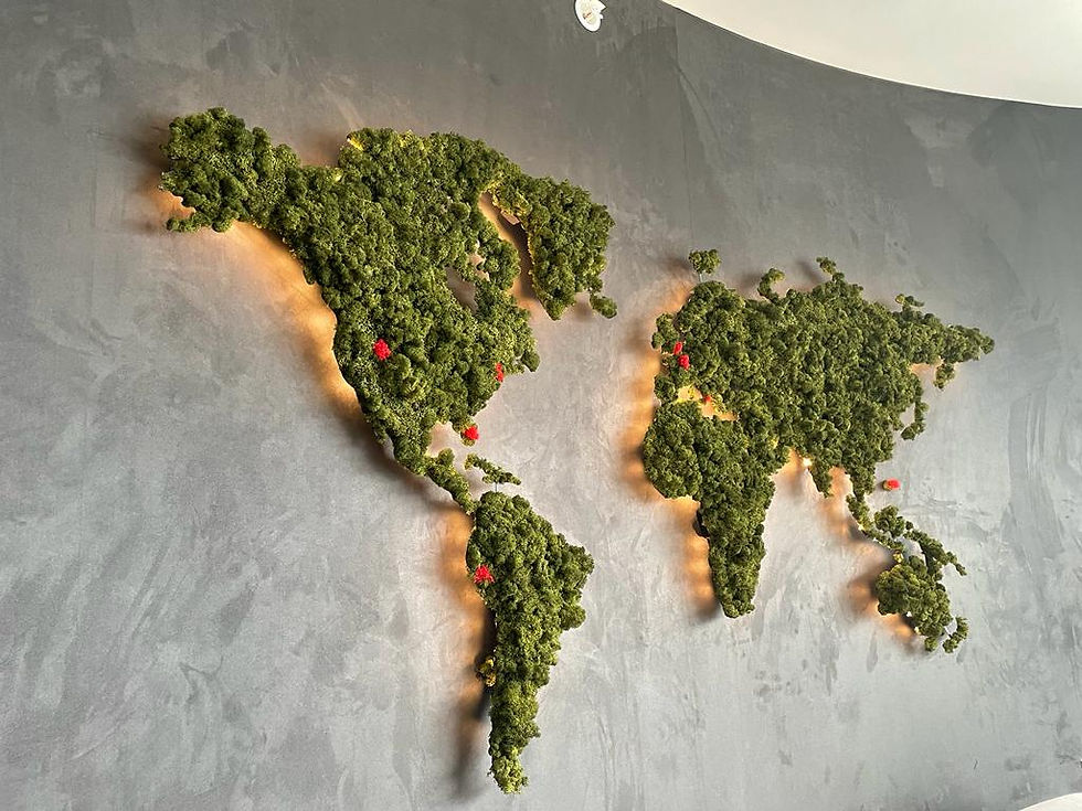 worldmap-3.jpeg
