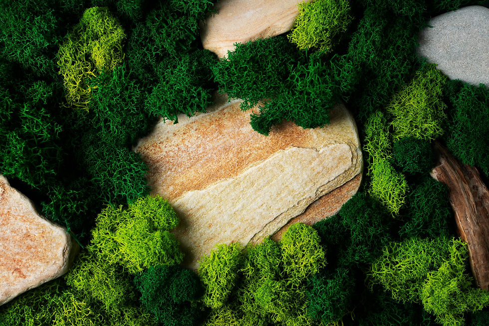 moss1.jpeg