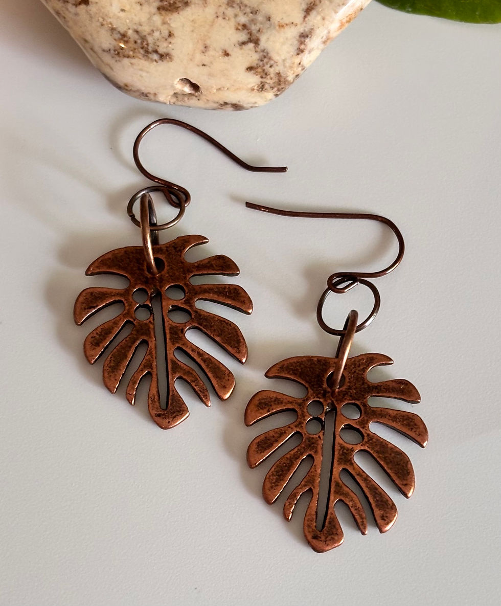 Miniatura: Monstera Maddness