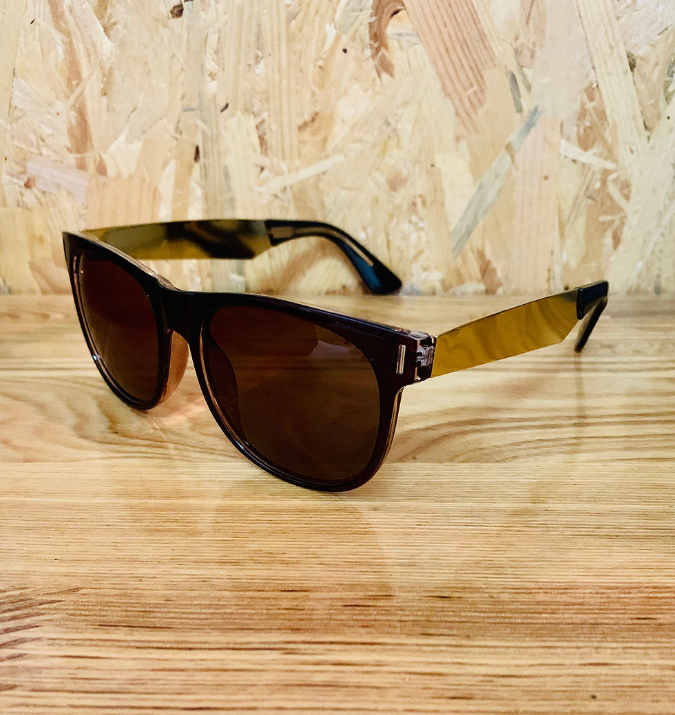 Basic Wayfarer Brown Sunglasses