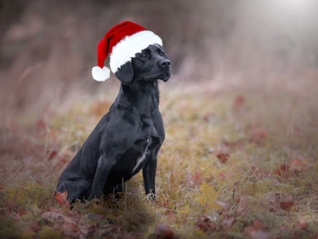 Merry Christmas!