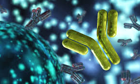 Miniatura: 1 Inmunohematología AGO