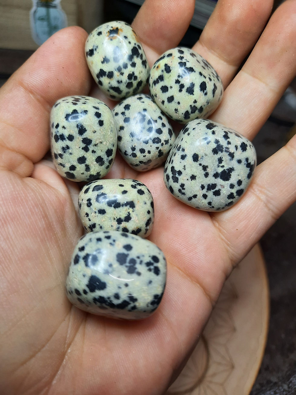 Dalmatian Jasper Tumble