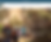 Screenshot 2026-01-03 at 12.15.07 pm.png