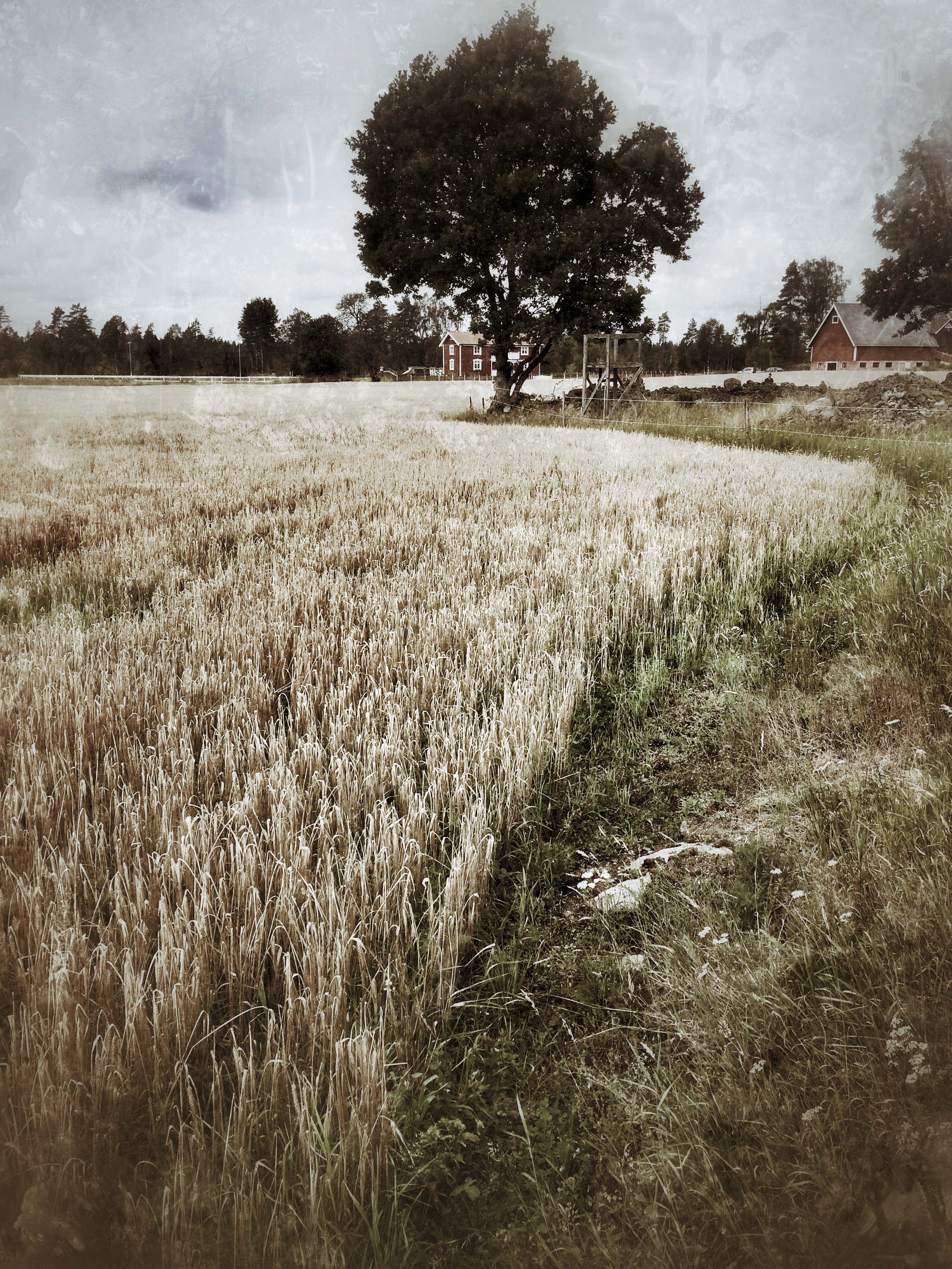 2014-08-10 12.35.57