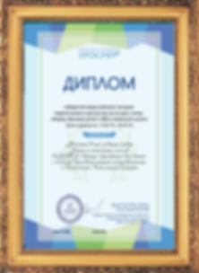 МОЙ ДИПЛОМ (1).png