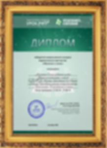 ДИПЛОМ 1 МЕСТО ВСЕРОС КОНК МЕТОД _ОБУЧ-Е