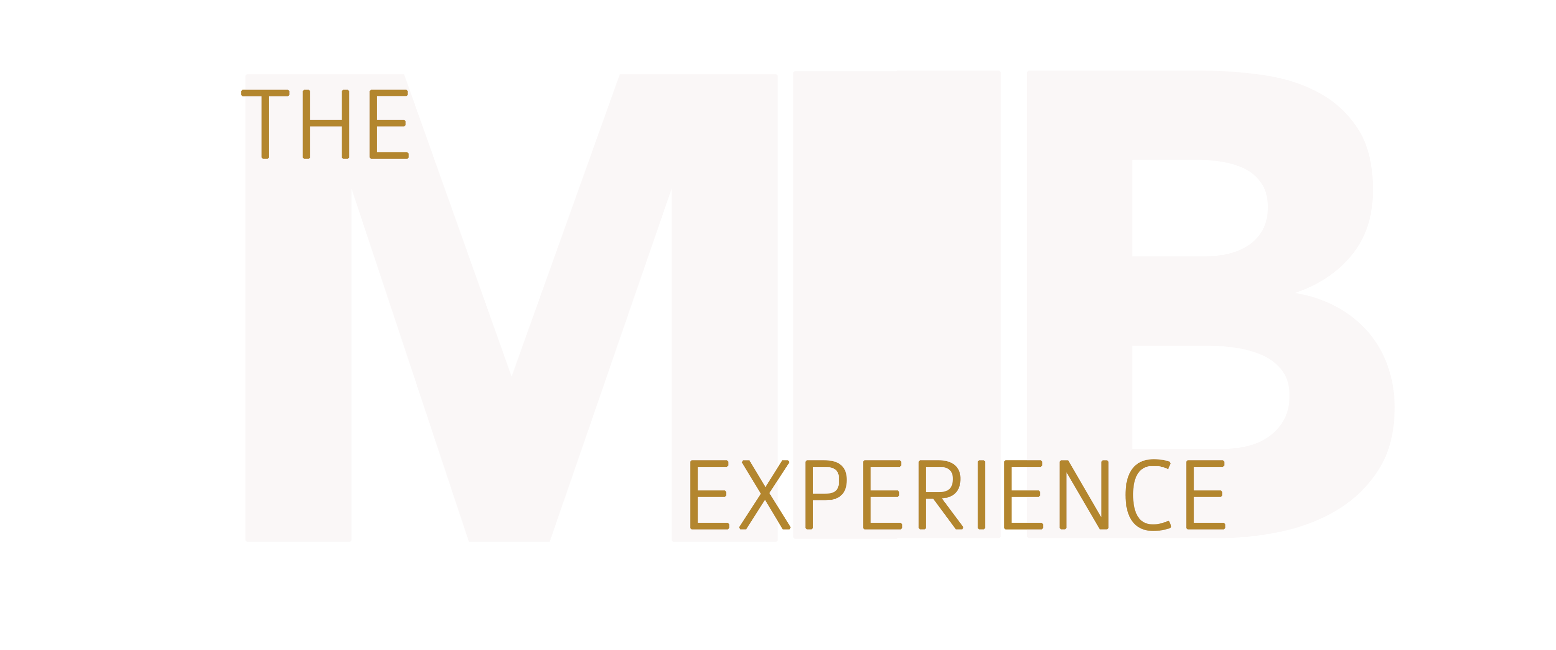 MIB-experience-logo.gif