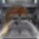 B3.jpg