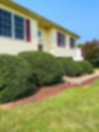 Affordable Cuts Lawn Care