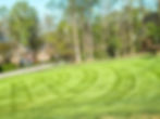 Affordable Cuts Lawn Care
