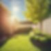 backyard with small trees on a sunny day_.jpg