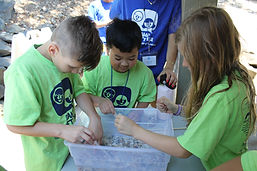 IMG_4796.JPG
