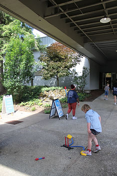 IMG_4833.JPG