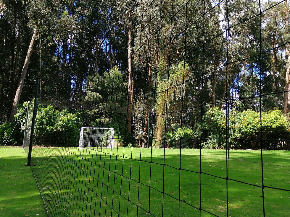 TRABAJO EN CAJICÁ, CONDOMINIO CARRETON  