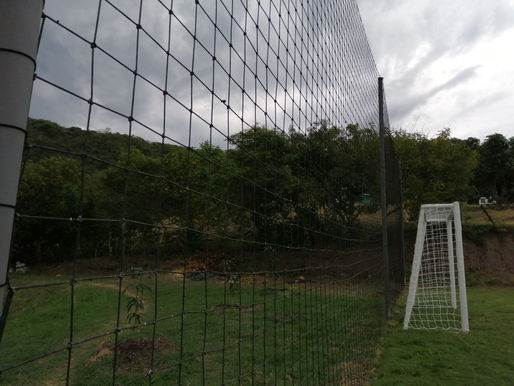 TRABAJO EN ANAPOIMA, CUNDINAMARCA