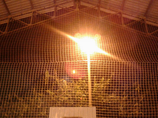 TRABAJO EN SAN ANTONIO DEL TEQUENDAMA