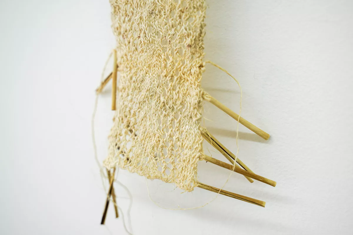 Arielle Walker distance rewoven from the roots to the stem (2021) Blue Oyster installation