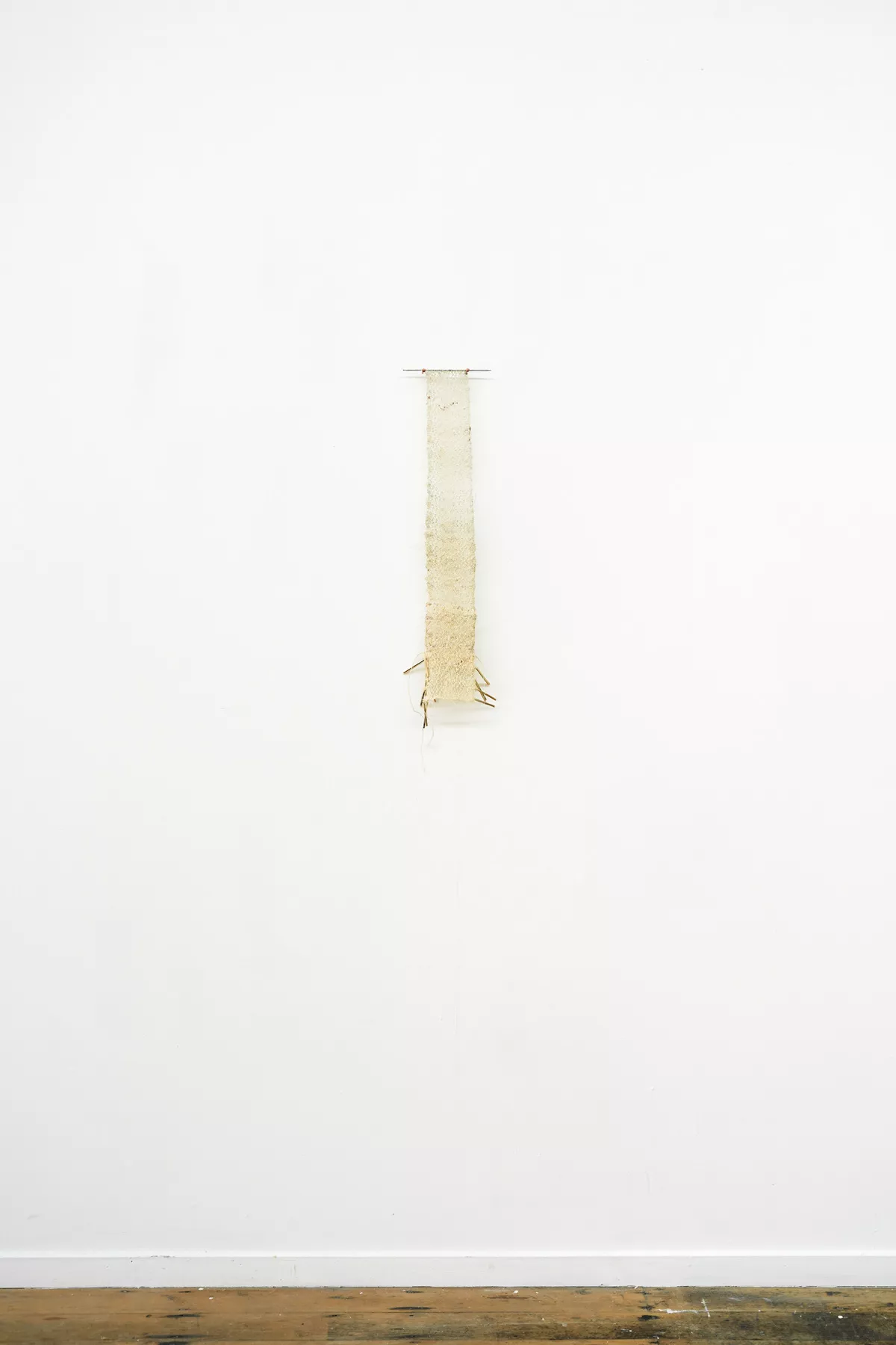 Arielle Walker distance rewoven from the roots to the stem (2021) Blue Oyster installation