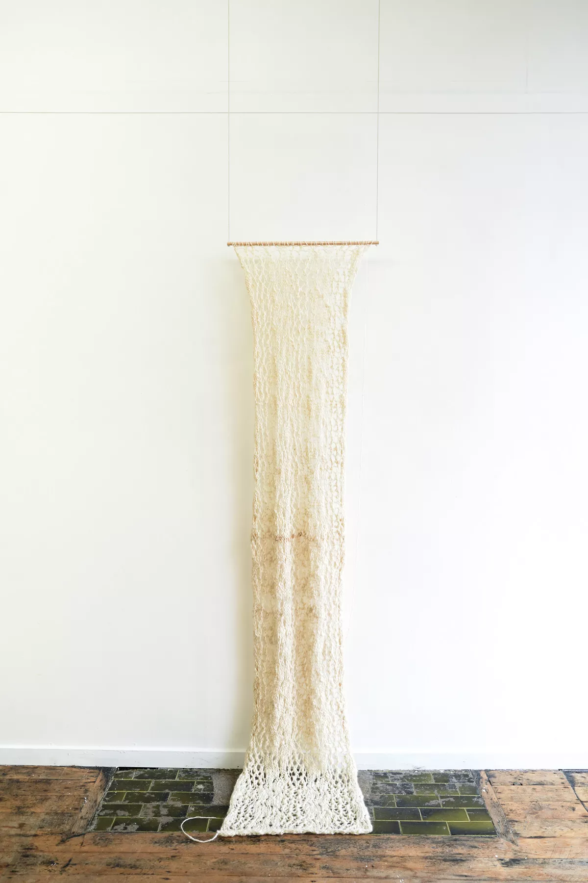 Arielle Walker distance rewoven from the roots to the stem (2021) Blue Oyster installation
