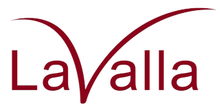 c7de50_b62ce8369b224f51bc7ebb5403102f89~mv2 (1).png