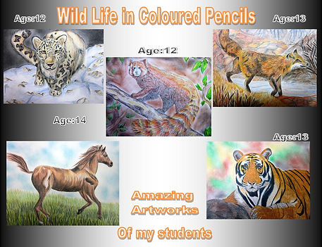 WildLifeCP.jpg