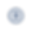 Blue D Transparent.png