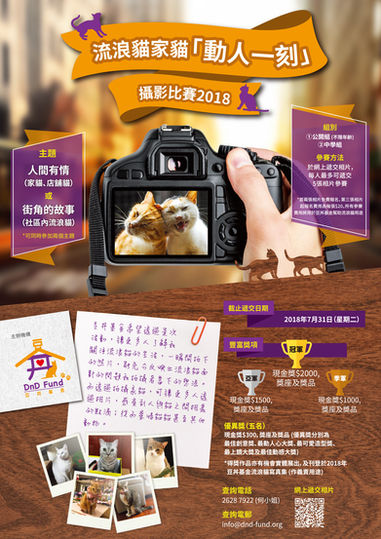 豆丼基金主辦：流浪貓家貓「動人一刻」攝影比賽2018