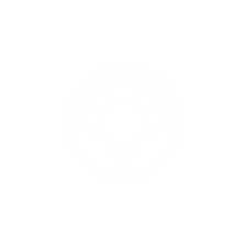 PEPR ENGAGE grphic vectors WHITE.png