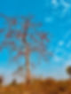 IMG_6882.jpeg