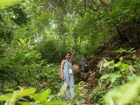 Weekend Getaway in Similipal: Two Days That Feel Like a World Away