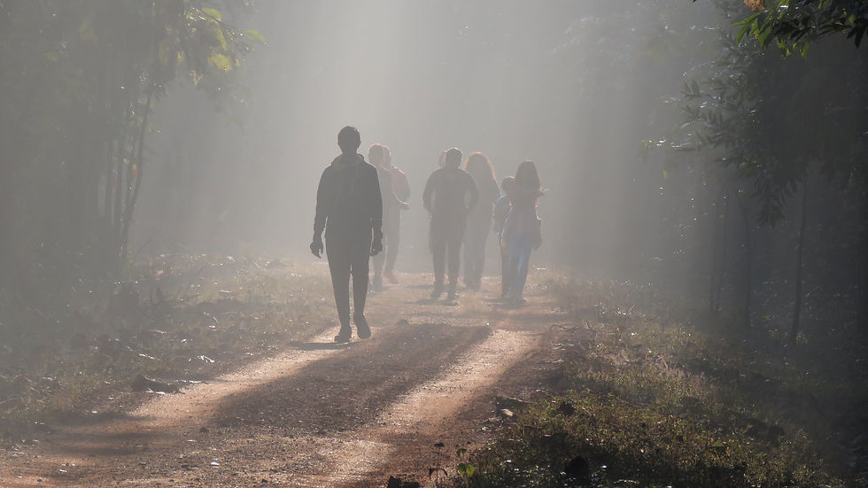 Walk In The Wilderness