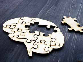 Reflection & Thank You