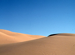 img213.jpg