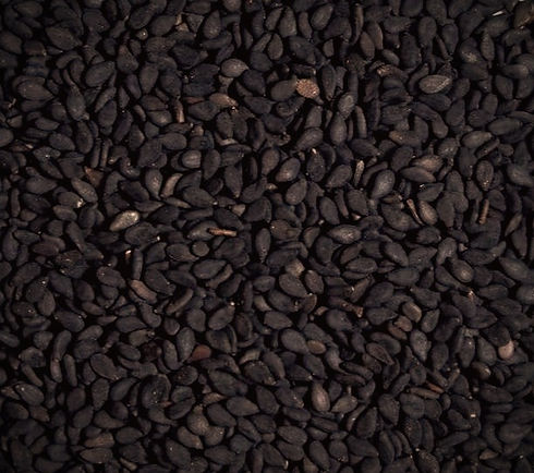 large_square_Black_Sesame_Seeds__close_edited.jpg
