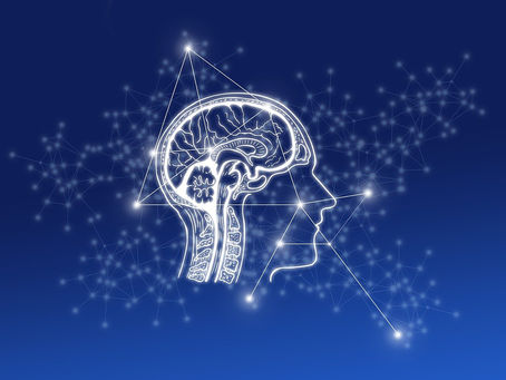 Virtual Reality – Was passiert überhaupt in unserem Gehirn?