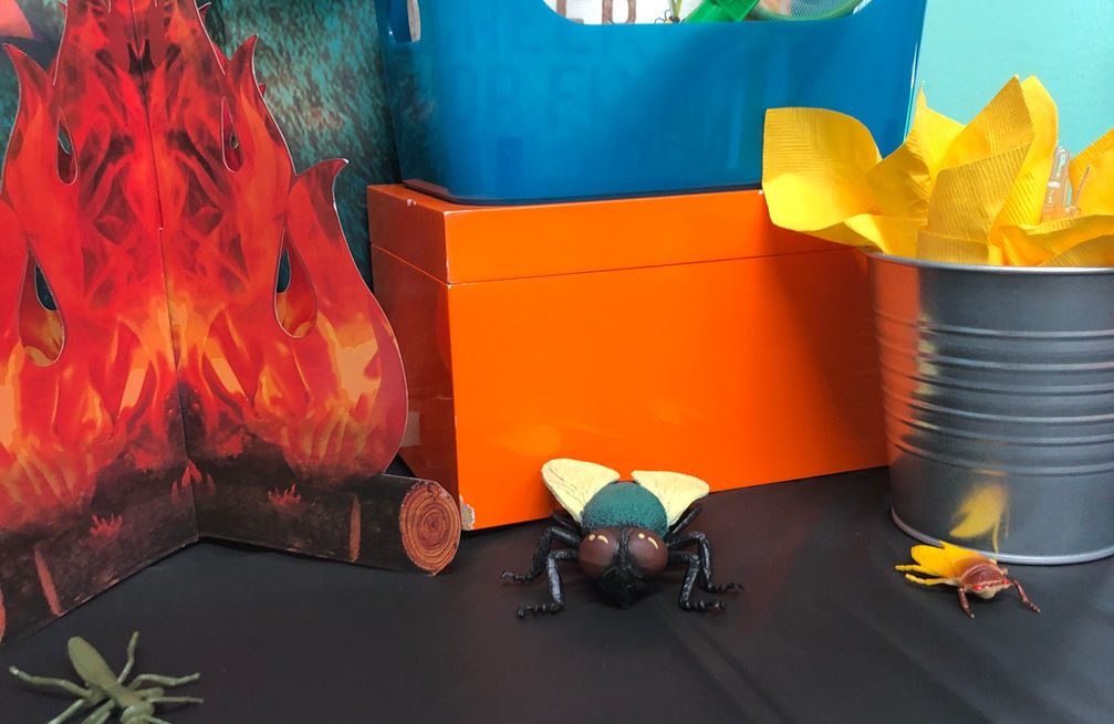 photo feb 25, 2 59 47 pm.jpg