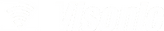 visonic LOGO.png