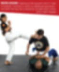 bjj in a street fight