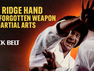 CLASSIC BLACK BELT - Unveiling the Legacy of the Legendary Ridge Hand: A Timeless Technique in the Blood and Guts Era of Karate