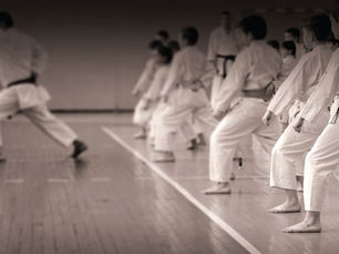 Do You Understand The Kata? Find Out Now!!