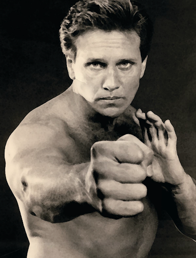 The Warrior Way Of Joe Lewis