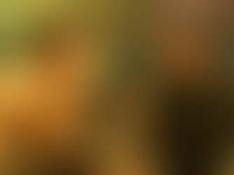 From Stunt Performers to Leading Stars: Martial Artists Who Found Their Way to the Big Screen