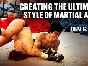 Creating the Ultimate Martial Arts Style