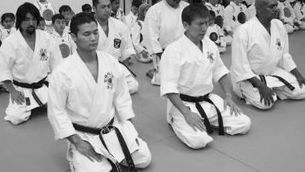 What Makes Shotokan Karate Distinct?