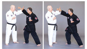 Building Blocks: Budoshin Jujitsu’s Classification of Blocking Techniques Epitomizes Simplicity