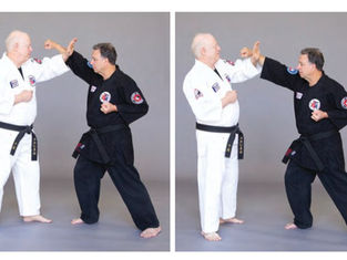 Building Blocks: Budoshin Jujitsu’s Classification of Blocking Techniques Epitomizes Simplicity